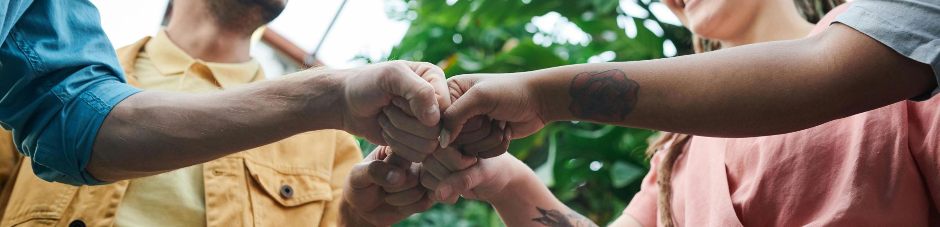 A group of young adults celebrating teamwork with a fist bump in a lush outdoor setting.